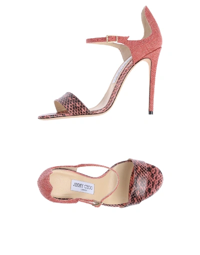 Jimmy Choo In Pink