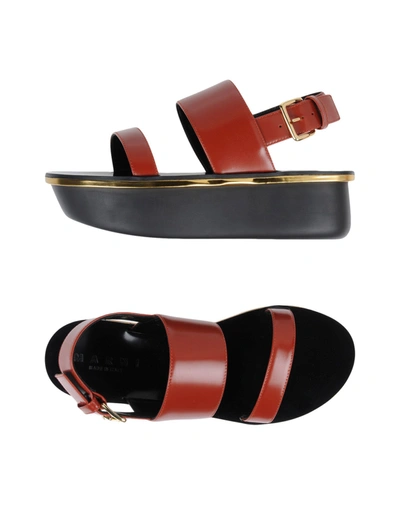Marni Sandals In Red