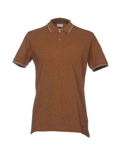 Peuterey In Brown