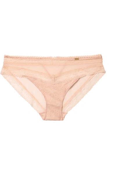 Chantelle Festivité Stretch-lace And Tulle Briefs In Beige