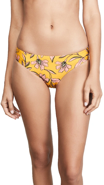 Splendid Golden Girls Floral-print Swim Bikini Bottoms In Butterscotch