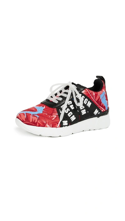 Msgm Multi Strap Runner Sneakers In Black/leaf Print