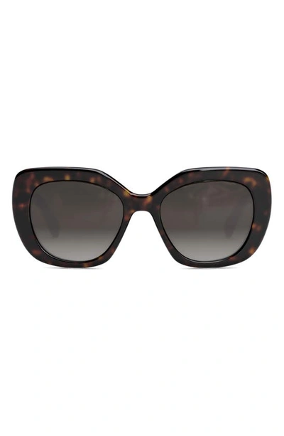 Celine 55mm Gradient Butterfly Sunglasses In Havana/brown Gradient