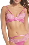 Dita Von Teese Madame X Lace Underwire Bra In Paradise Pink