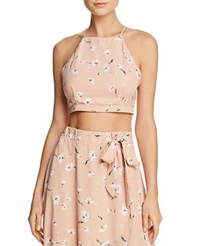 Ppla Sophina Floral-print Cropped Top In Blush