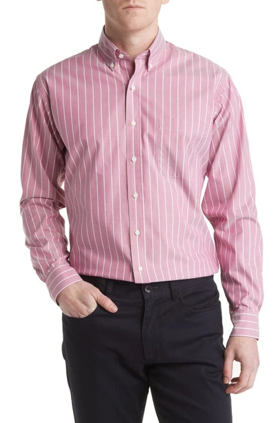 Alton Lane Howard Supima® Cotton Blend Oxford Button-down Shirt In Wine Big Sky Stripe