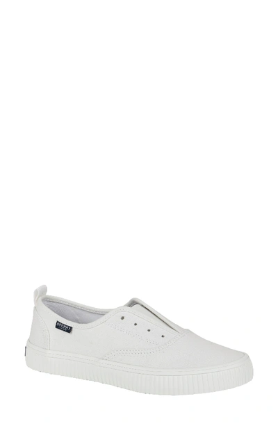 Sperry Crest Creeper Cvo Slip-on Sneaker In White Canvas