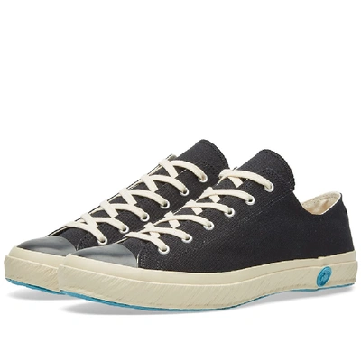 Shoes Like Pottery 01jp Low Sneaker In Black