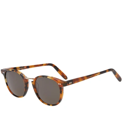 Cutler And Gross 1007 Sunglasses In Brown
