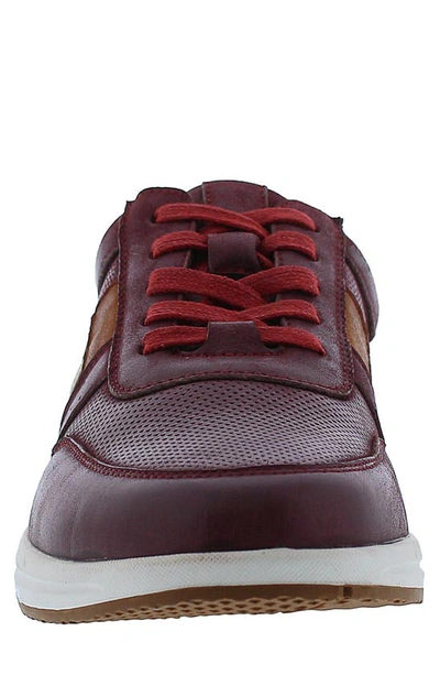 English Laundry Brady Perforated Sneaker In Wine