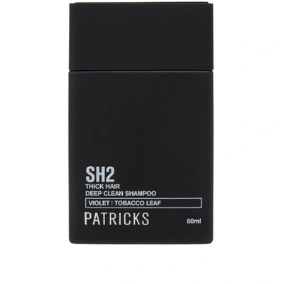 Patricks Sh2 Deep Clean Travel Shampoo In Black