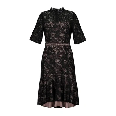 Paisie Lace Dress With Flared Hem