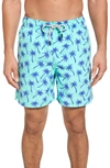 Tom & Teddy Palm Tree Print Swim Trunks In Emerald/ Blue