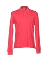 Lacoste In Fuchsia