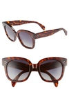 Celine Square Polarized Acetate Sunglasses, Blue Pattern In Cool Havana