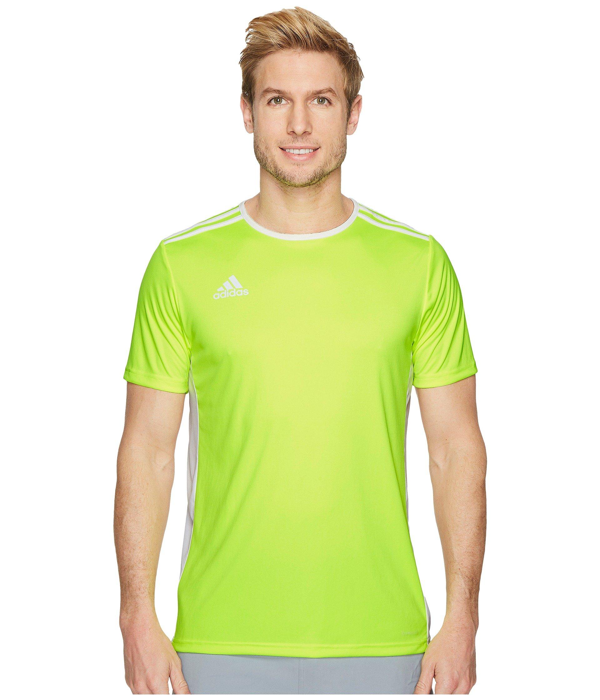 Adidas Originals , Solar Yellow/white | ModeSens Adidas Originals , Solar Yellow/white | ModeSens