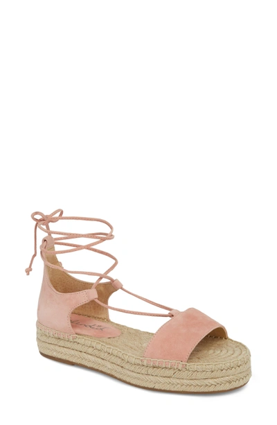 Splendid Fernanda Wraparound Platform Sandal In Blush Suede