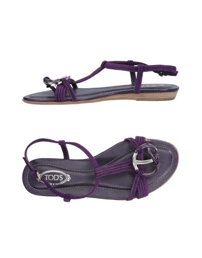 Tod's In Purple