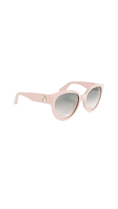 Moschino Bear Logo Sunglasses In Pink/green Pink