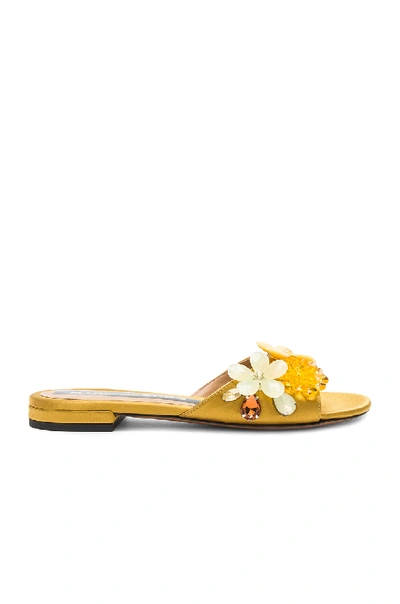 Marc Jacobs Clara Embellished Satin Sandals In Gold