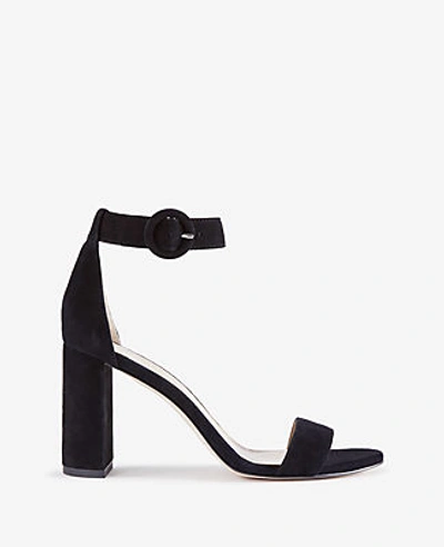 Ann Taylor Leannette Suede Block Heel Sandals In Black