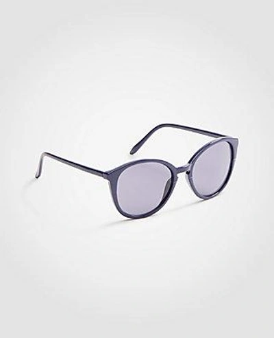 Ann Taylor Pantos Round Sunglasses In Navy Blue