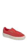 Puma Suede Platform Sneaker In Paradise Pink/ Team Gold