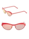 Andy Wolf Akira Cat Eye Sunglasses In Red