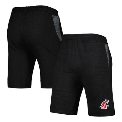 Colosseum Black Washington State Cougars Wild Party Shorts
