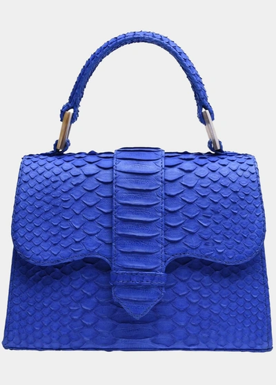 Adriana Castro La Marguerite Mini Python Top-handle Bag In Blue