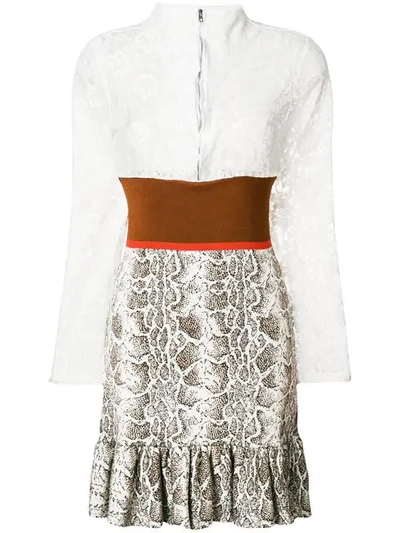 Chloé Python Jacquard Knit And Lace Long-sleeve Dress In White