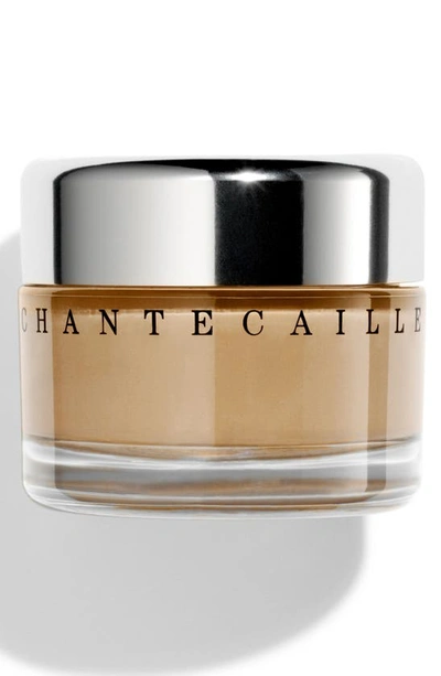 Chantecaille Future Skin Oil Free Gel Foundation In Wheat