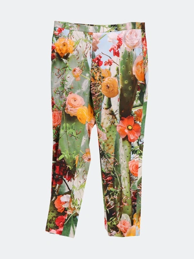 Akris Women's Cactus Blossom Print Franca Printed Bottoms Pants & Capri In Green