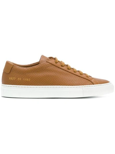 Common Projects Original Achilles Low-top Perforated Sneakers In Tan