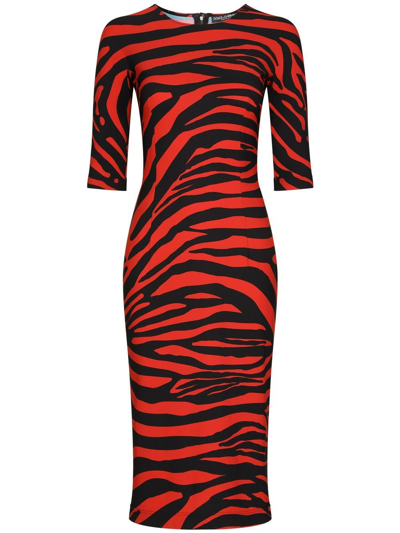 Dolce & Gabbana Zebra Printed Midi Dress In Zebra Nero F Rosso