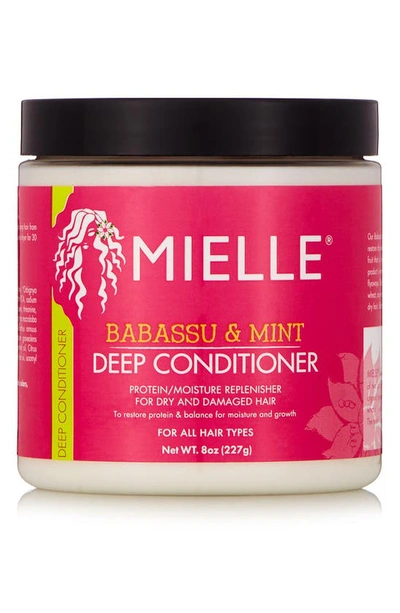 Mielle Babassu Oil & Mint Deep Conditioner