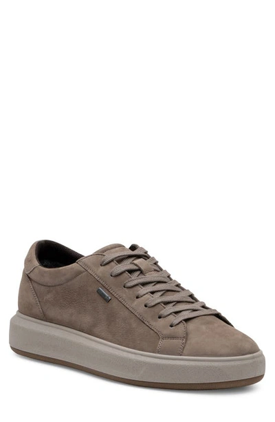 Ara Finnick Waterproof Sneaker In Beige