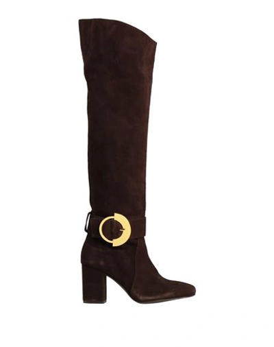 Pinko Knee Boots In Brown