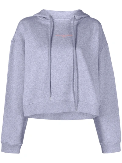 Stella Mccartney Zip-up Hoodie In Grey