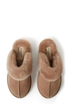 Fireside By Dearfoams Sydney Water Resistant Genuine Shearling Scuff Slipper In Driftwood