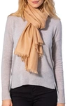 Amicale Solid Pashmina Scarf In Camel