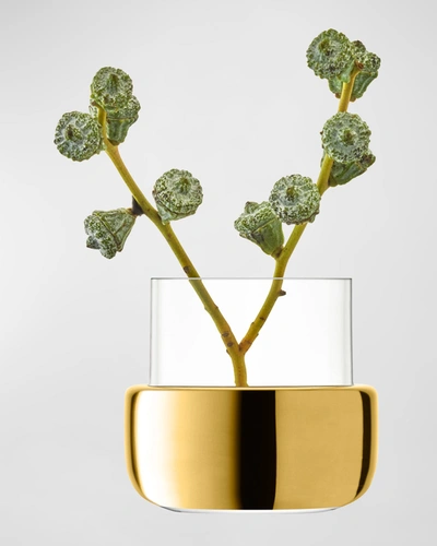 Lsa Aurum Tealight Holder Vase In Clear/ Gold