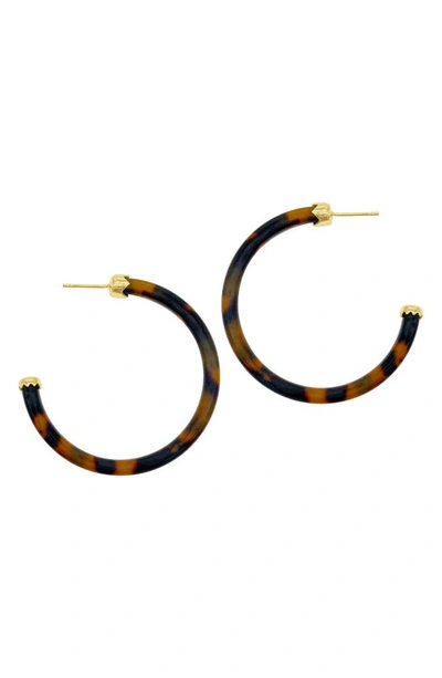 Adornia Tortoise Shell Hoops In Brown
