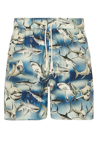 Palm Angels Shorts In Blue