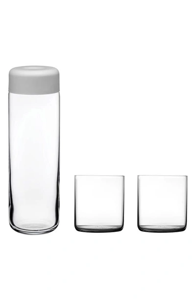 Nude Finesse Carafe & Tumbler Set In Clear