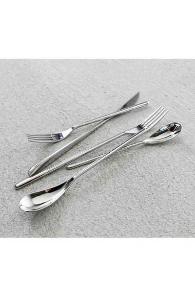 Fortessa Dragonfly 20-piece Flatware Set In Stainless Steel