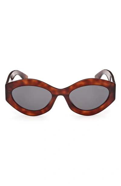 Emilio Pucci 54mm Geometric Sunglasses In Dark Havana / Smoke