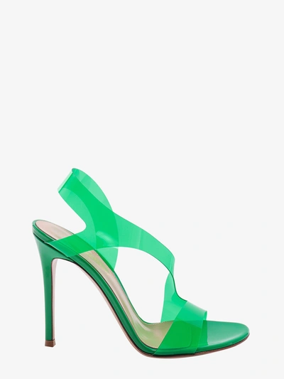 Gianvito Rossi Metropolis In Green