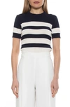 Alexia Admor Pat Stripe Short Sleeve Sweater Top In Navy/ Ivory