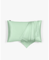 Lilysilk Antibacterial Mint Silk Pillowcase Standard In Green